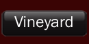 Our Vineyard
